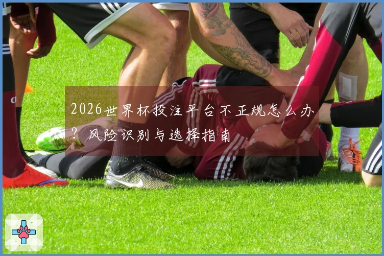 2026世界杯投注平台不正规怎么办?风险识别与选择指南