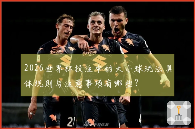 2026世界杯投注中的大小球玩法具体规则与注意事项有哪些？